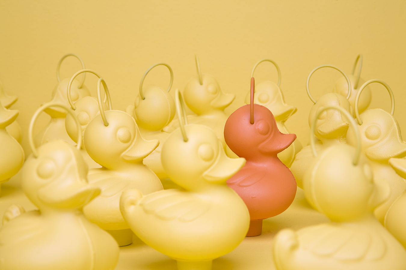 Everyone is craving for attention, find a way to stand out