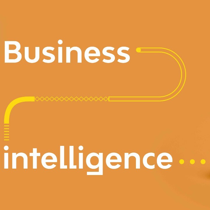 Business Intelligence (video)